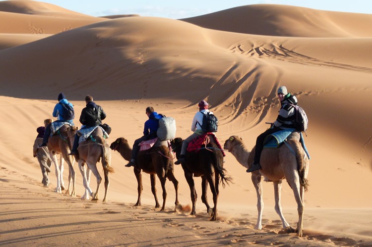 Kameelrijden in de Erg Chebbi - Marokko