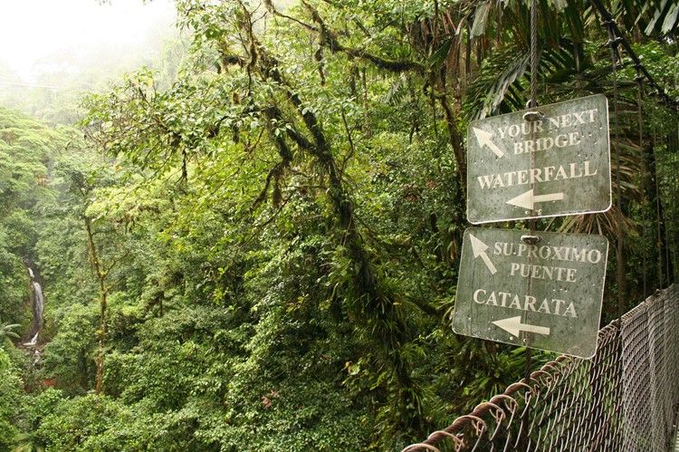 Arenal Hanging bridges