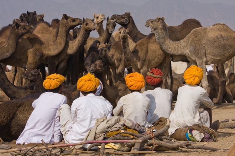 Pushkar tijdens de camel fair