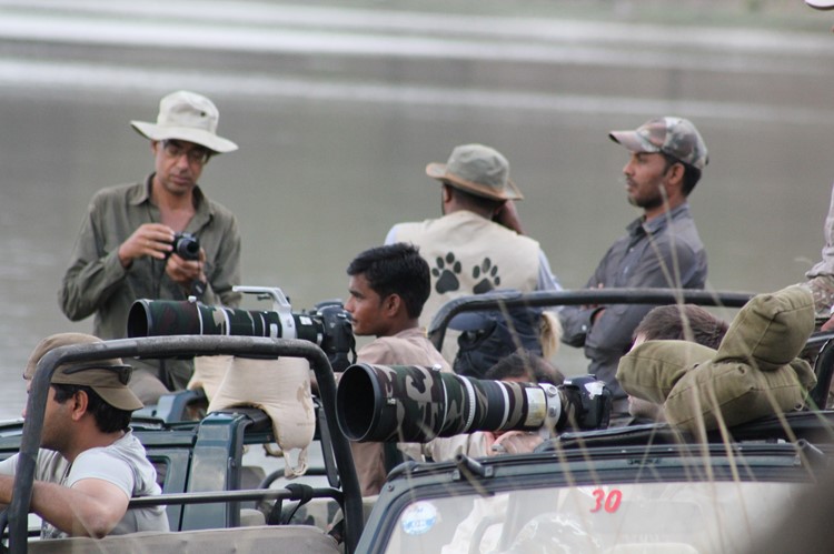 Wildlife spotten in Ranthambhore - India