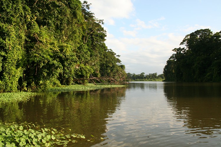 Varen door de kanalen van Tortuguero