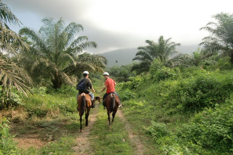 Selva Bananito, Costa Rica