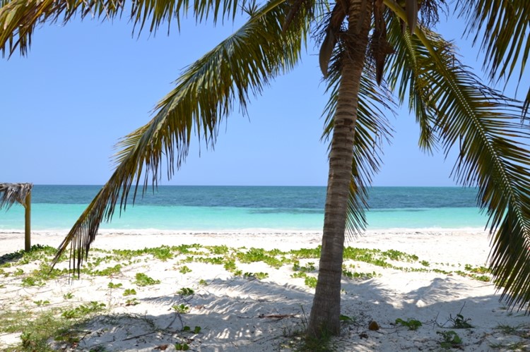 Cayo Levisa, Cuba