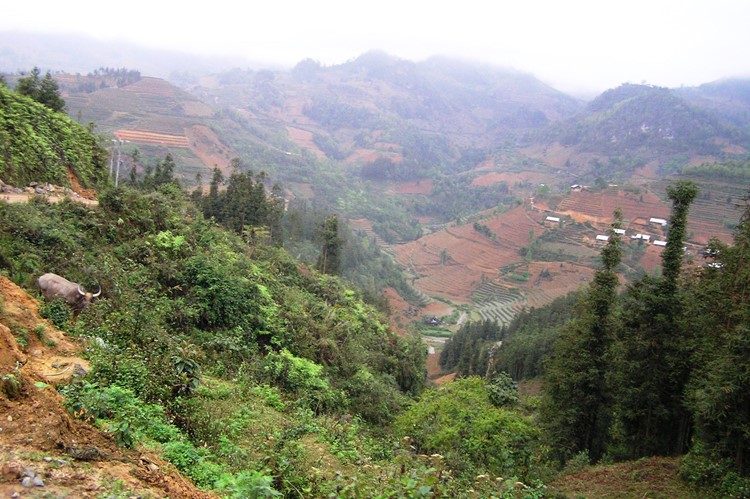 Bac Ha & Can Cau, Vietnam
