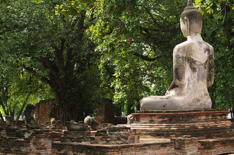 Boeddhabeeld in Ayutthaya