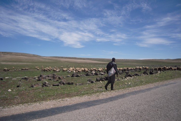 Een herder op weg - Midelt - Marokko