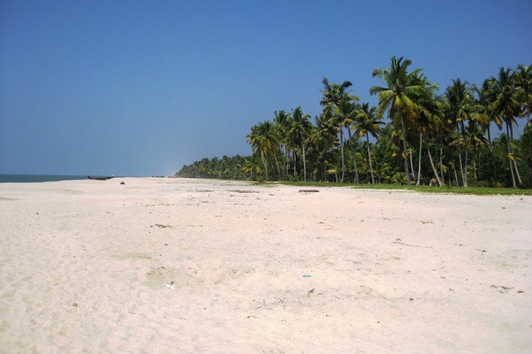 Het strand van Cherai