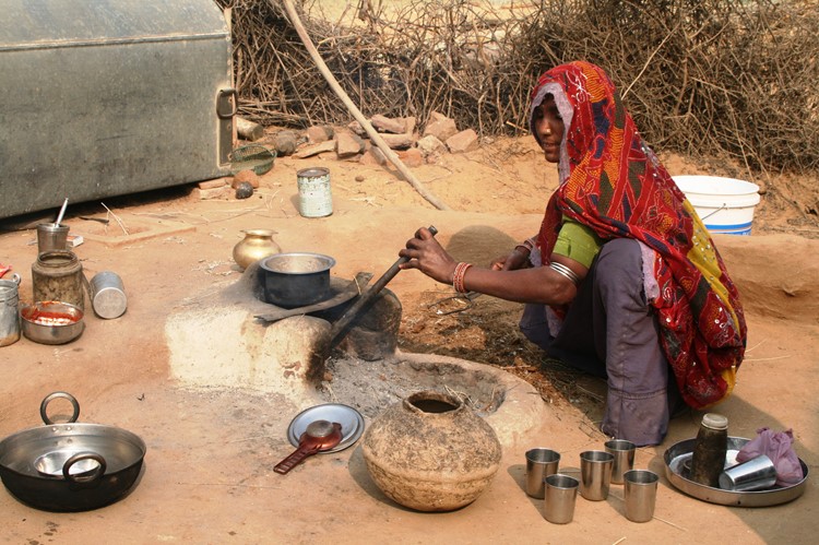 Shekawati, India