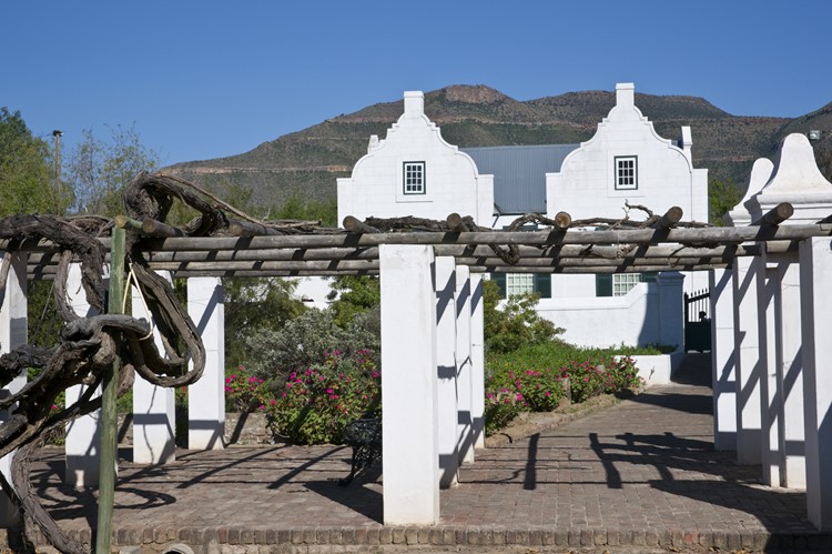 Wijngaarden in de omgeving van Graaff Reinet, Zuid-Afrika